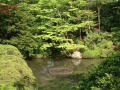 Nikko